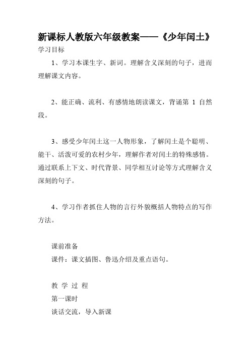 新课标人教版六年级教案——《少年闰土》