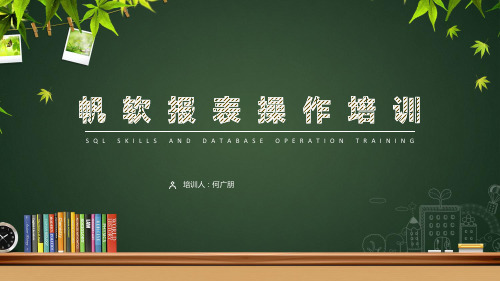 帆软报表培训