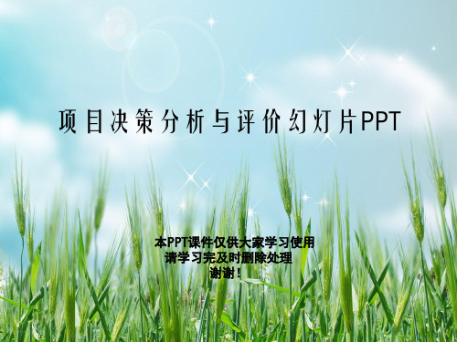 项目决策分析与评价幻灯片PPT