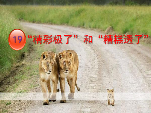 《“精彩极了”和“糟糕透了”》-五年级上册人教部编版语文PPT课件