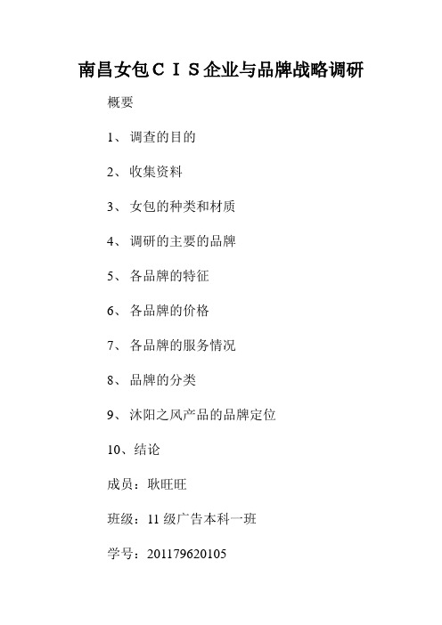 南昌女包市场调研报告
