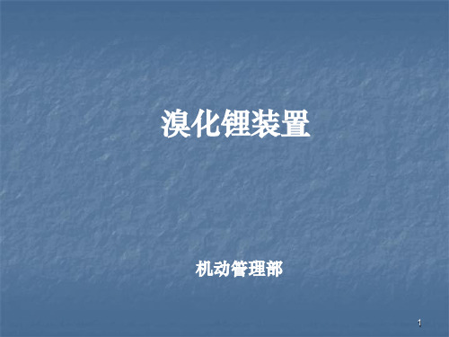 溴化锂培训ppt课件