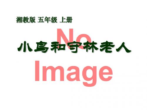 《小鸟和守林老人》PPT(上课用)4