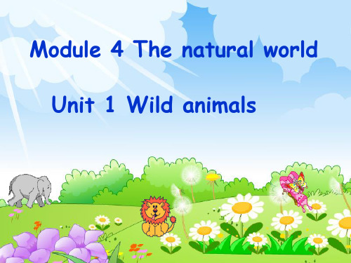 animals