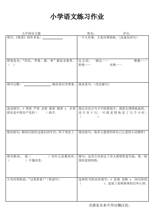 小学五年级语文精作细练I (20)