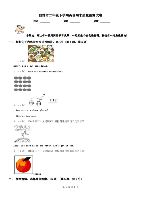 曲靖市二年级下学期英语期末质量监测试卷