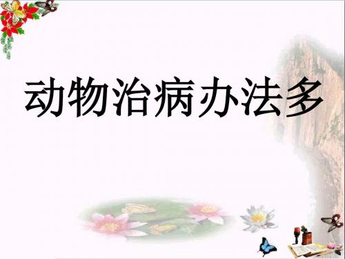 三年级语文上册第五单元动物治病办法多PPT课件2湘教版