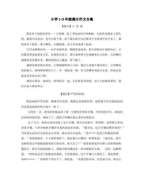 贵州小学1-3年级低段满分作文范文学习精品推荐 (36)
