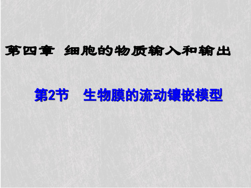 人教版高中生物必修1课件：4.2生物膜的流动镶嵌模型