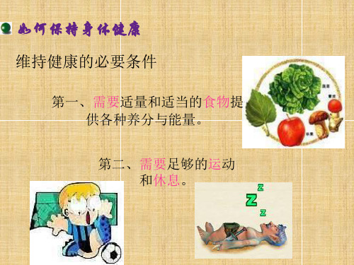 牛津上海版科学七上《第10章健康的身体》ppt课件