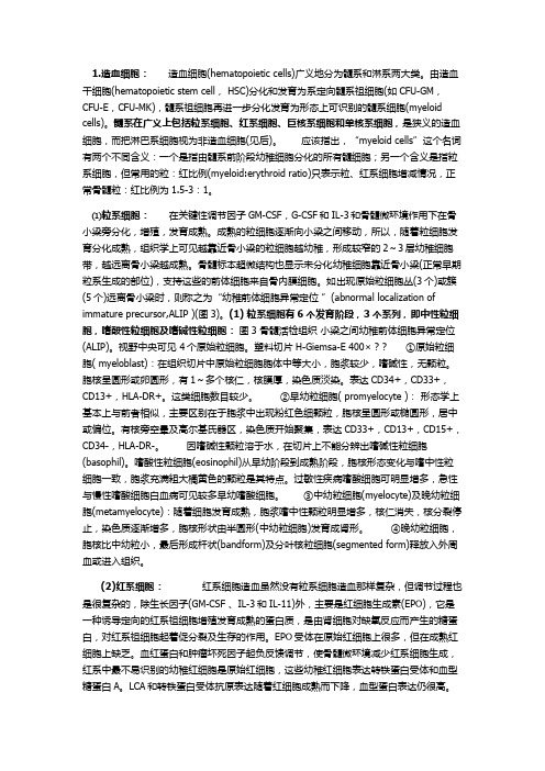 髓系 淋巴系区别