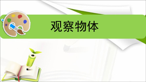 观察物体(看一看)ppt
