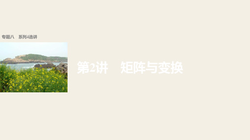 最新-2021版高考数学理江苏专用大二轮总复习与增分策略配套课件：专题八 系列4选讲 第2讲 精品