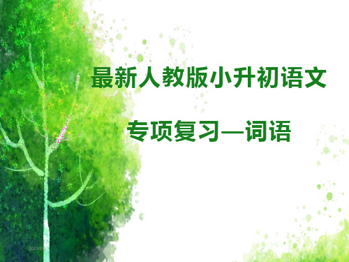 最新人教版小升初语文专项复习—词语