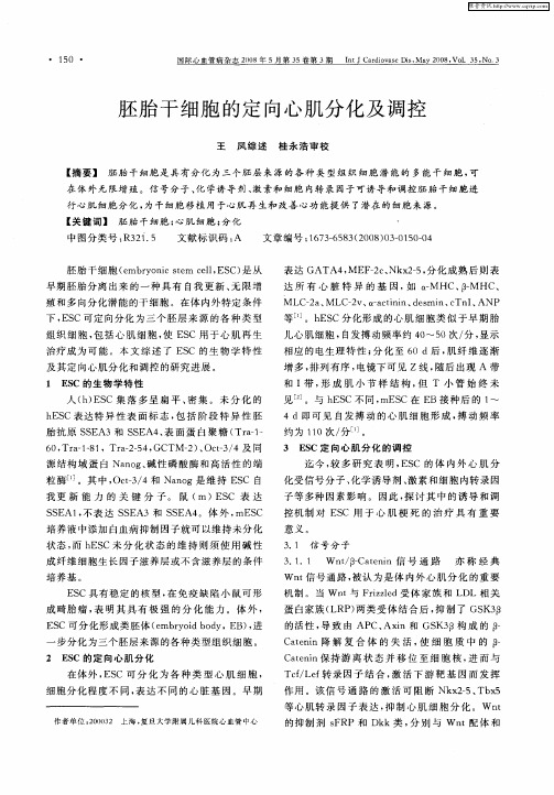 胚胎干细胞的定向心肌分化及调控