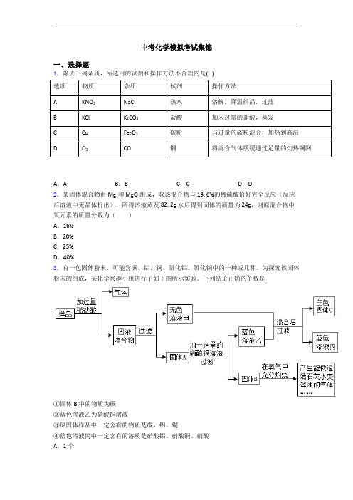 中考化学模拟考试集锦