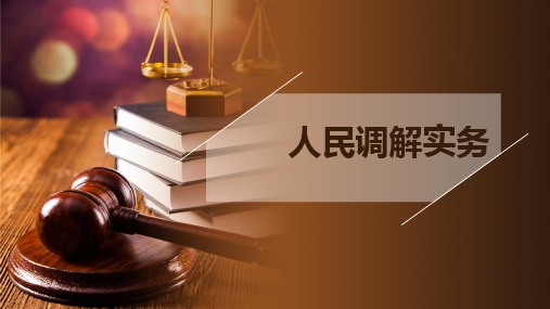 《人民调解实务》教学课件