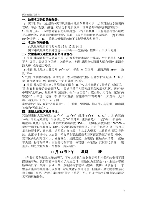 巢湖地质实习报告