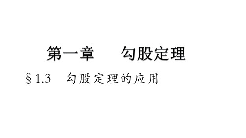 北师大版八年级上册 1.3 勾股定理应用 课件(共18张PPT)
