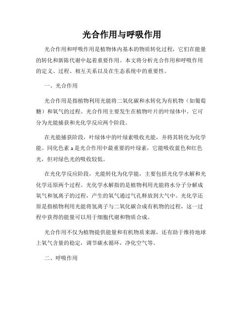 光合作用与呼吸作用