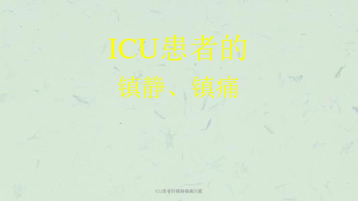 ICU患者的镇静镇痛问题课件
