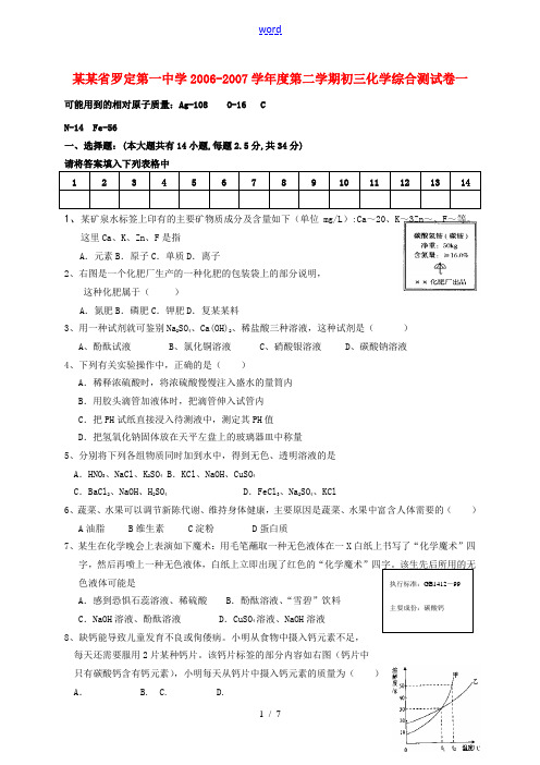 广东省罗定第一中学2006-2007学年度第二学期初三化学综合测试卷一 新课标 人教版