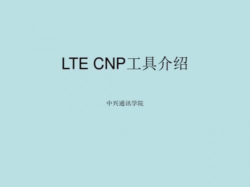 最新(完美版)LO_BT10_C1_1 ZXPOS LTE CNP工具介绍-30