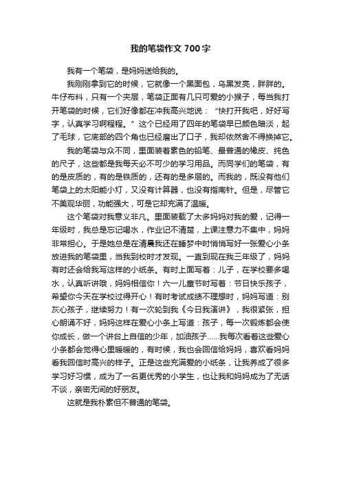 我的笔袋作文700字