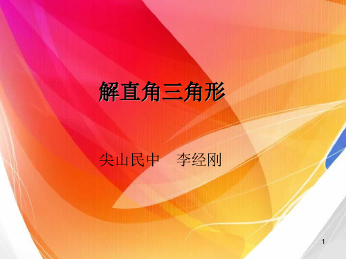 中考冲刺复习解直角三角形专题1PPT课件