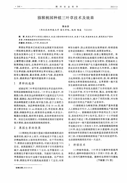猕猴桃园种植三叶草技术及效果