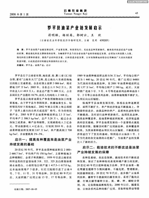 罗平县油菜产业链发展启示