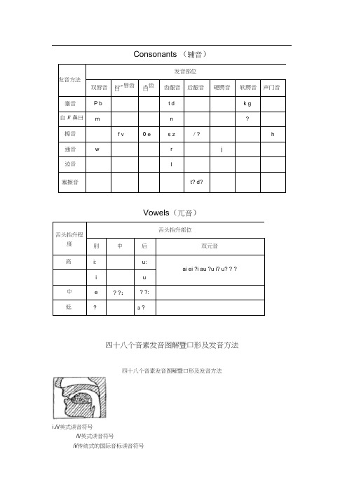 国际音标发音舌位图