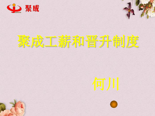 聚成工薪和晋升制度范本(PPT 49页)
