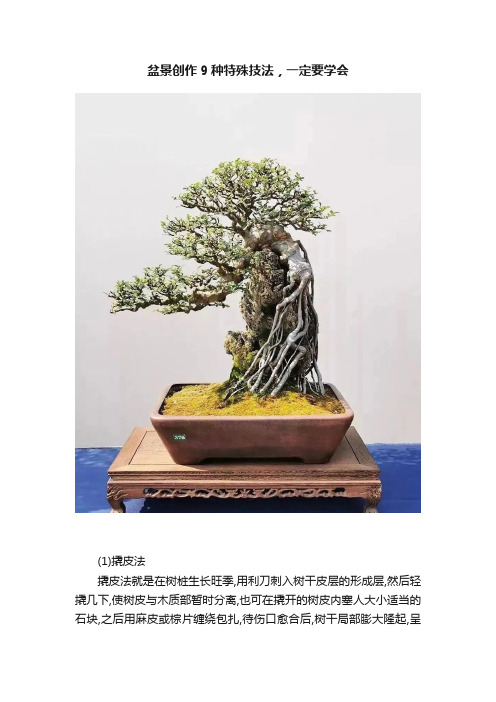 盆景创作9种特殊技法，一定要学会
