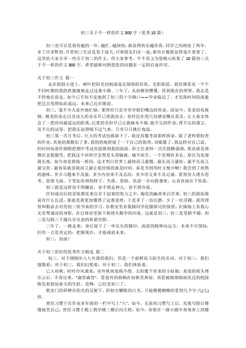 初三关于不一样的作文800字(优秀10篇)