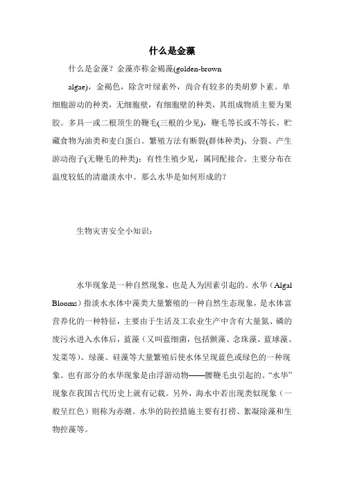 什么是金藻