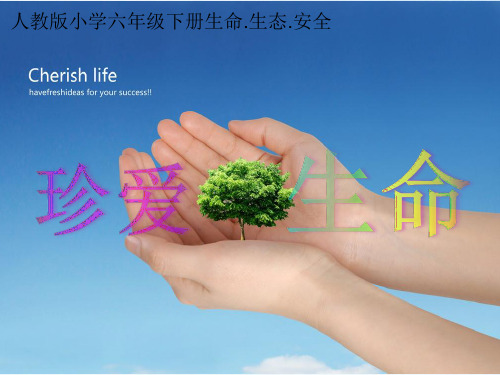 心理健康课《珍爱生命》ppt
