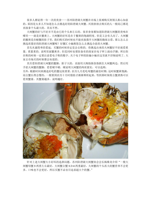 大闸蟹真的是越大越好吗