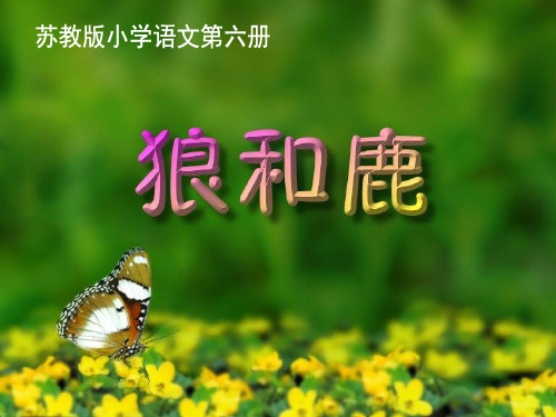 苏教版三年级下册语文《狼和鹿》PPT演示课件