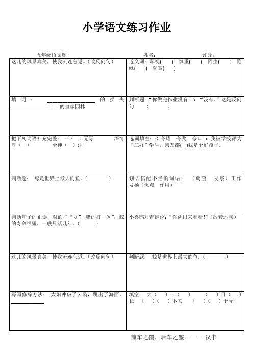 小学五年级语文精题选做IV (48)