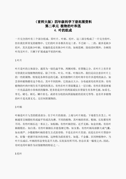 首师大小学科学四上《4.叶的组成》word教案(5)