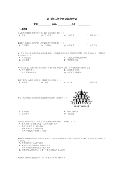四川初三初中历史期末考试带答案解析

