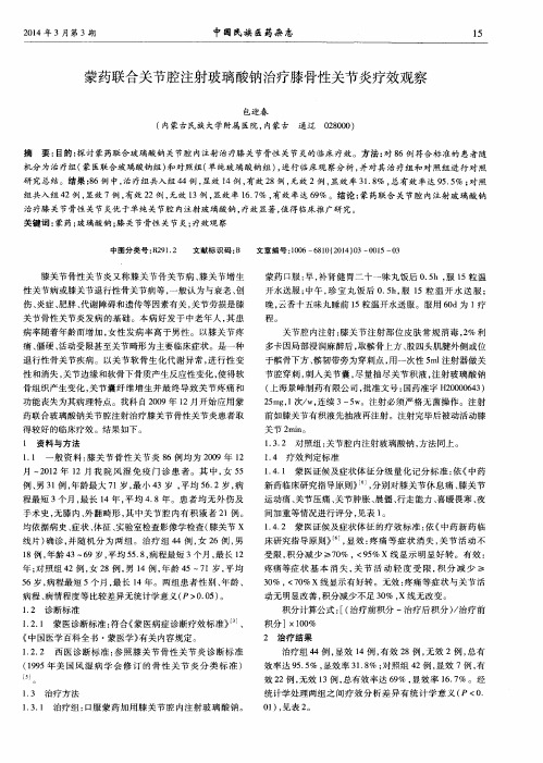 蒙药联合关节腔注射玻璃酸钠治疗膝骨性关节炎疗效观察
