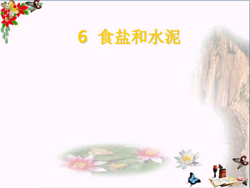 (精选)六年级科学上册食盐和水泥ppt课件10青岛版