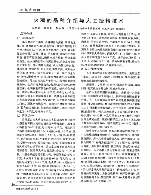 火鸡的品种介绍与人工授精技术