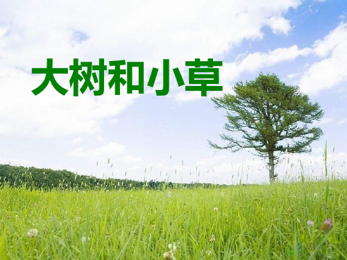 教科版三年级上册科学 《大树和小草》植物PPT教学课件3