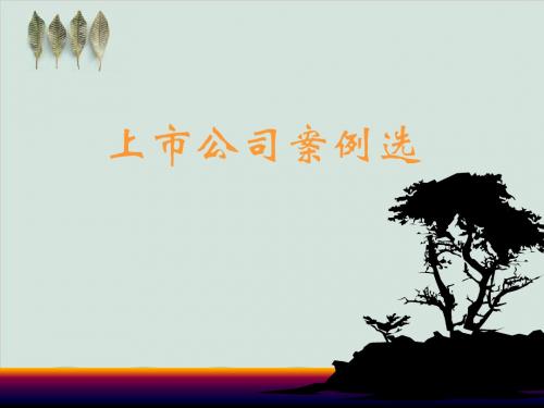 上市公司案例PPT课件( 52页)