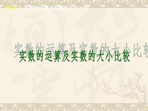 中考复习之实数的运算及实数的大小比较