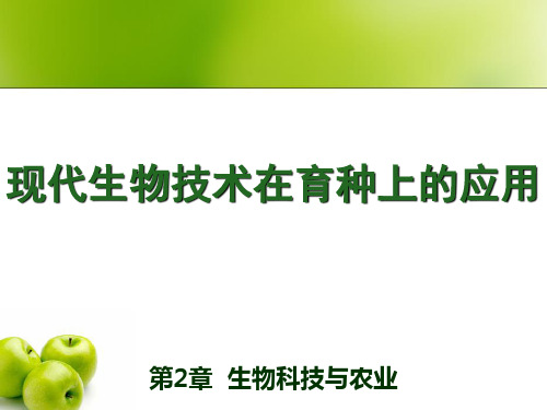 现代生物技术在育种上应用
