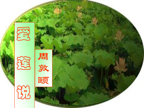 爱莲说翻译